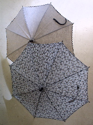 parasol1