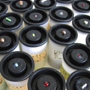 �t�B�����P�[�X